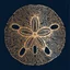 Pura Vida POS logo